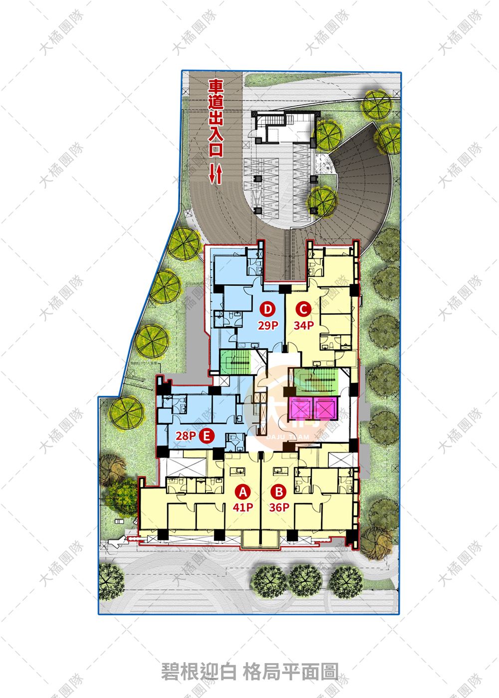 碧根迎白-格局平面圖