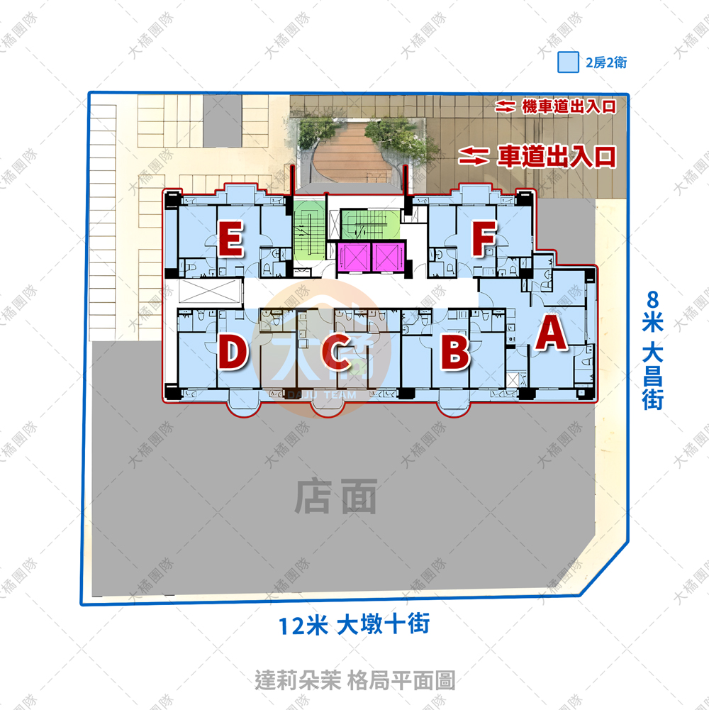 達莉朵茉-格局平面圖
