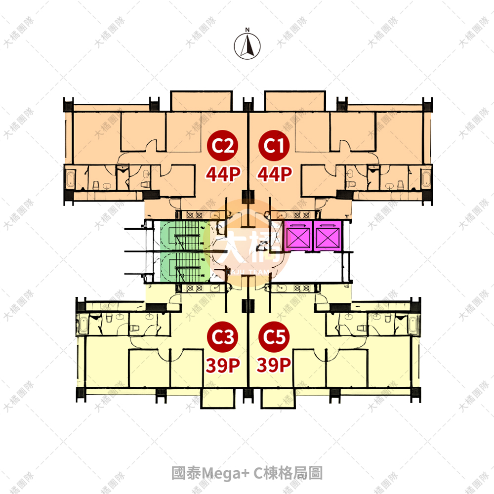 國泰Mega+-C棟格局圖