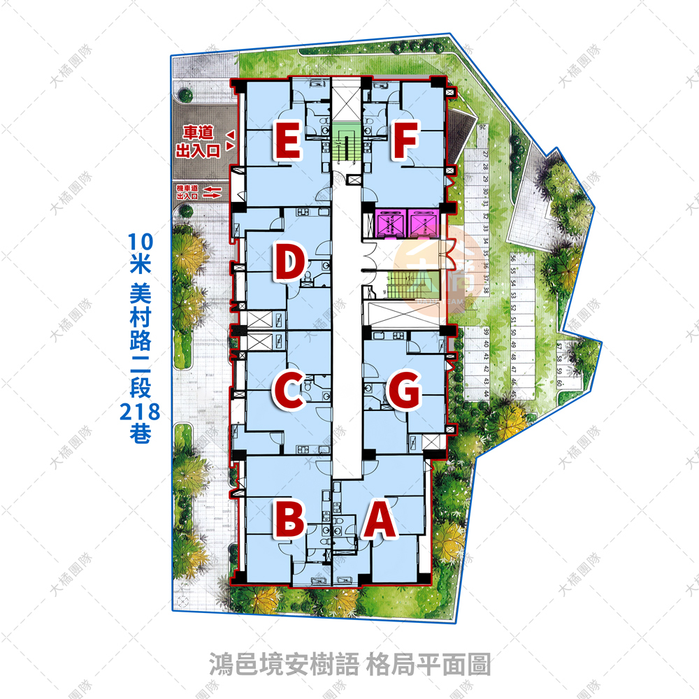 鴻邑境安樹語-格局平面圖