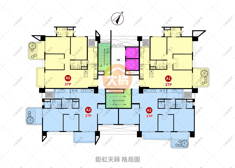 鉅虹天蒔-格局圖