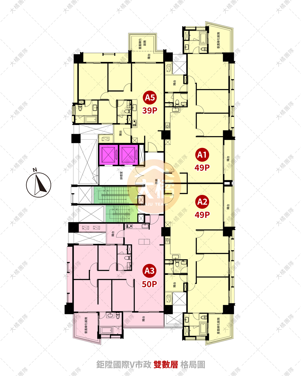 鉅陞國際V市政-雙數層格局圖