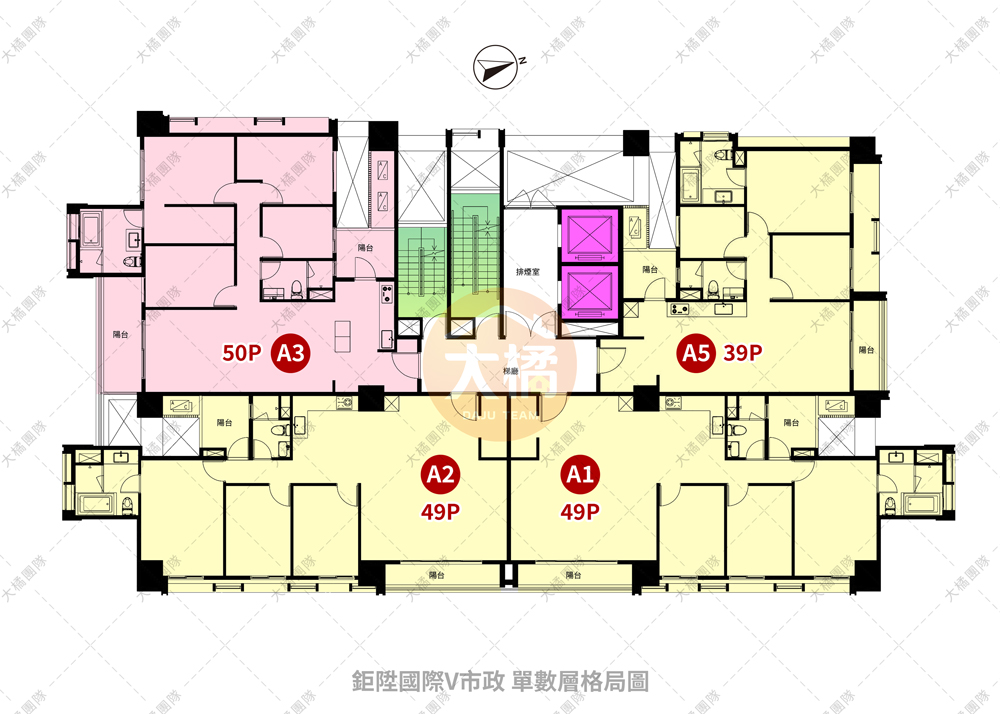 鉅陞國際V市政-單數層格局圖