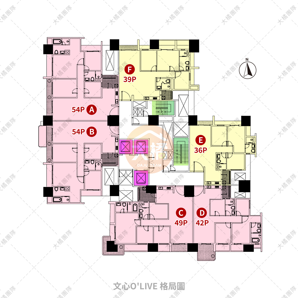 文心O'LIVE-格局圖