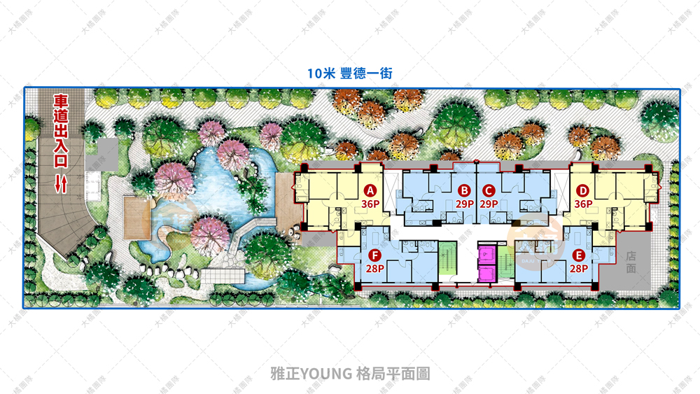 雅正YOUNG-格局平面圖