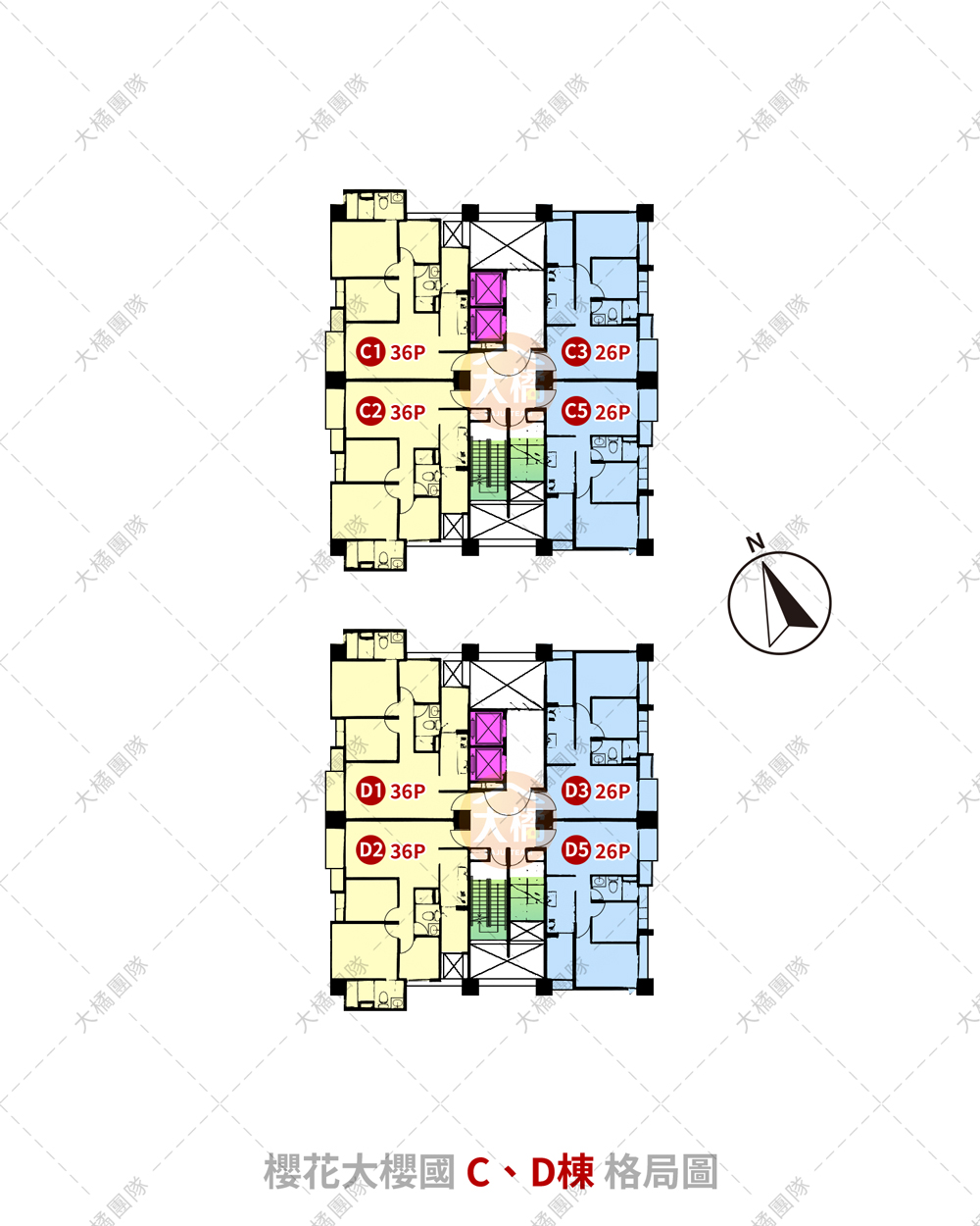 櫻花大櫻國-C、D棟格局圖