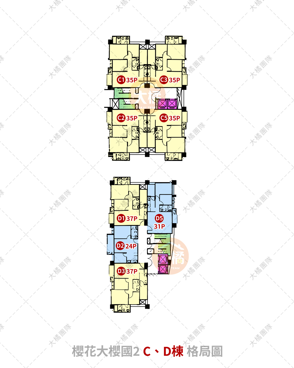 櫻花大櫻國2-C、D棟格局圖