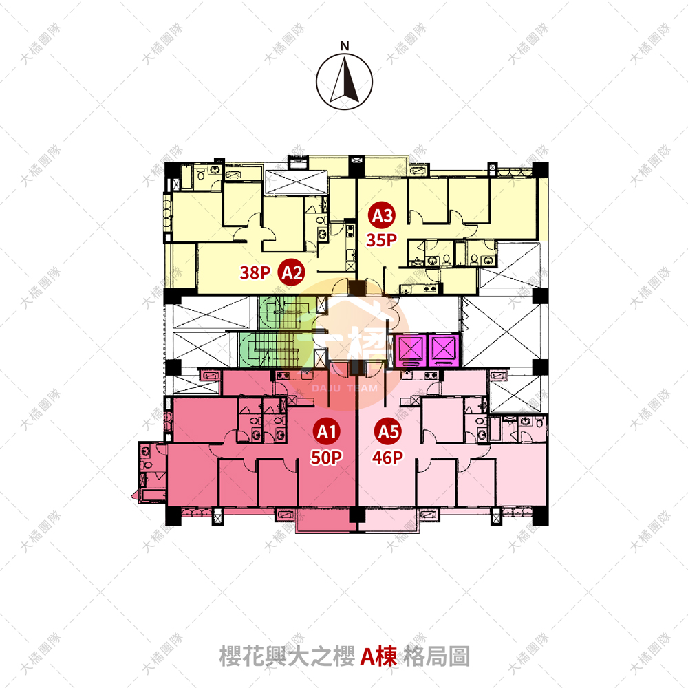 櫻花興大之櫻-格局圖